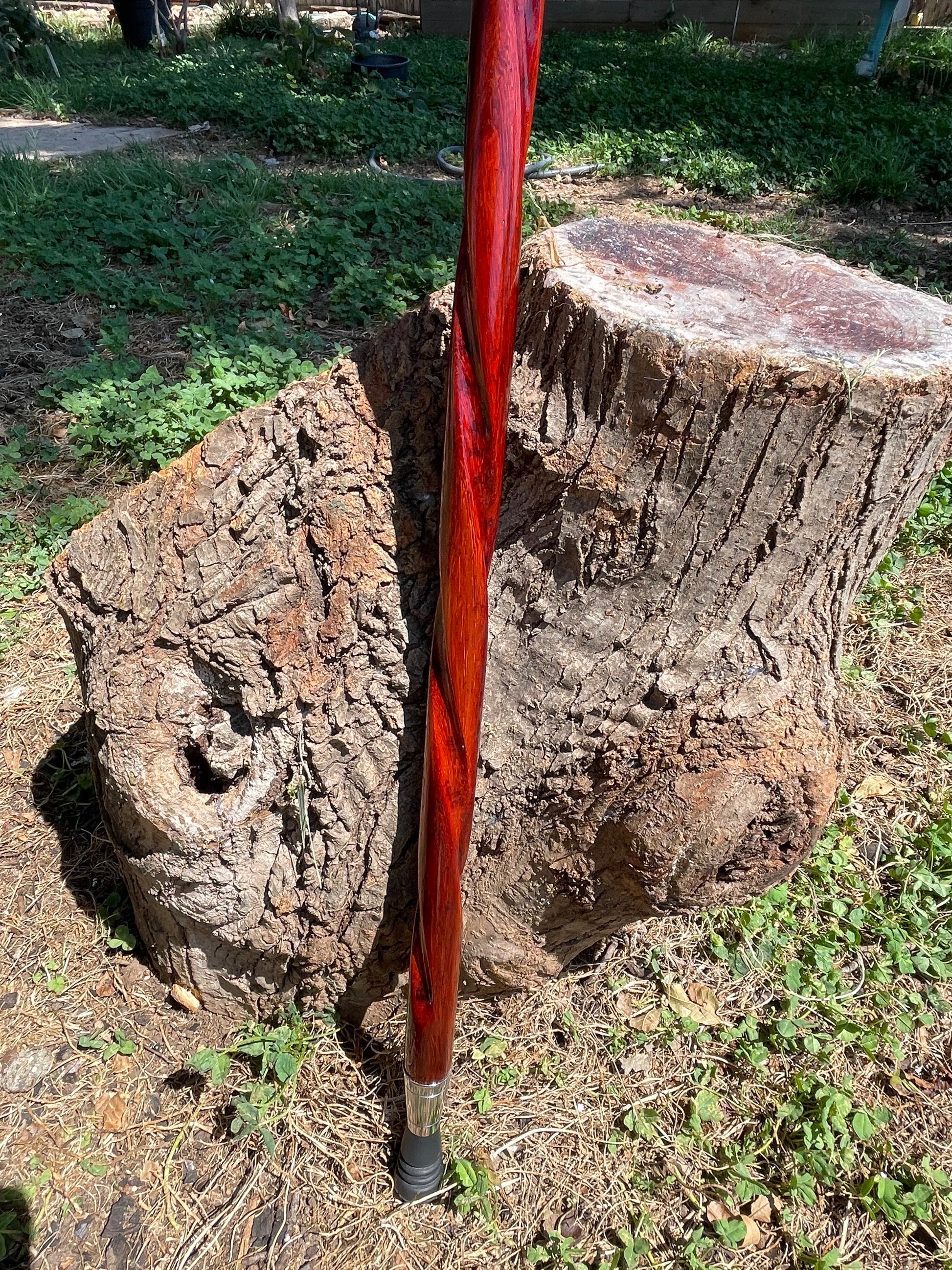 Exotic Wood Cane