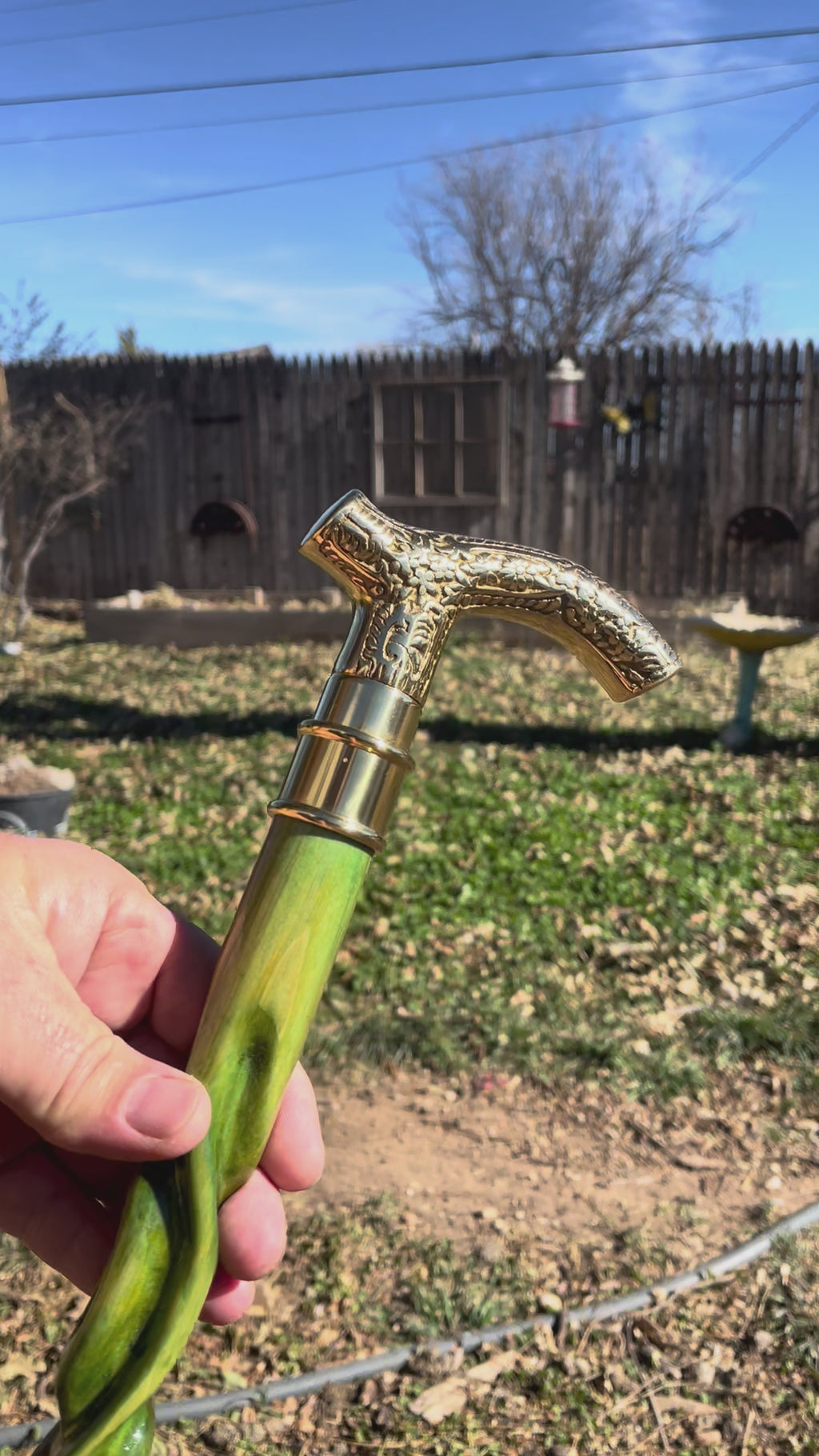 Small crazy cane